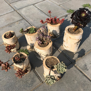  Indoor And Outdoor Planters